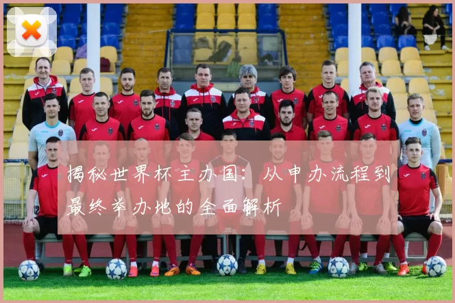 揭秘世界杯主办国：从申办流程到最终举办地的全面解析