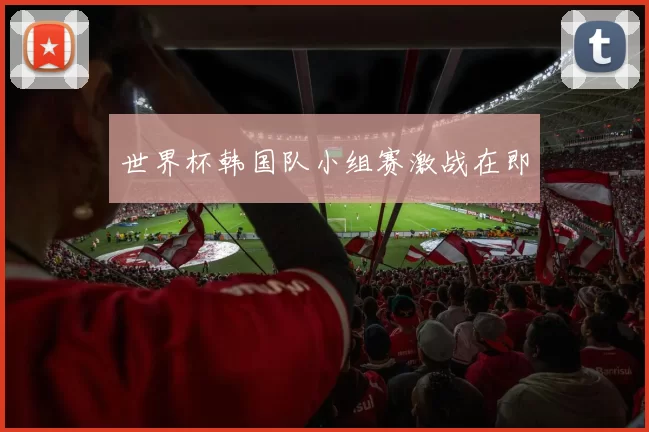 世界杯韩国队小组赛激战在即
