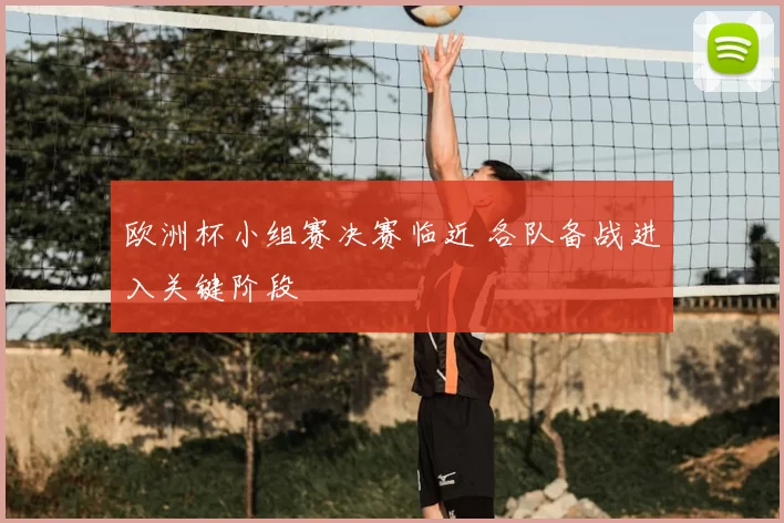 欧洲杯小组赛决赛临近 各队备战进入关键阶段