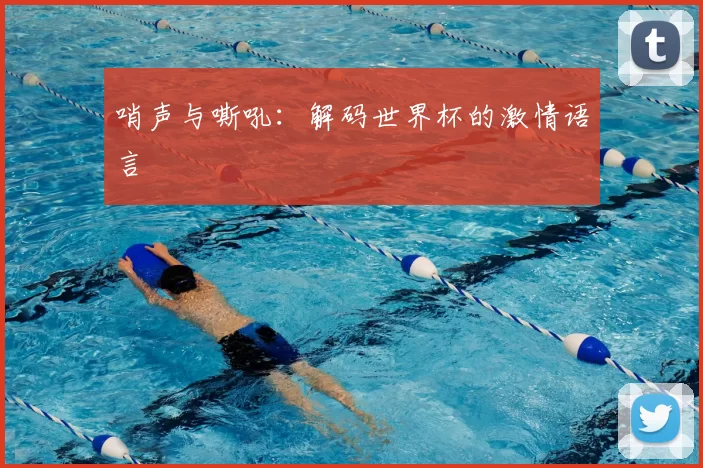 哨声与嘶吼：解码世界杯的激情语言