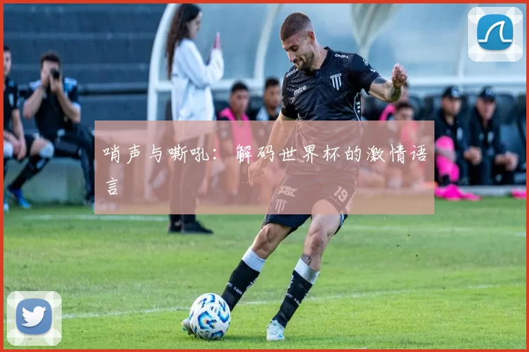 哨声与嘶吼:解码世界杯的激情语言