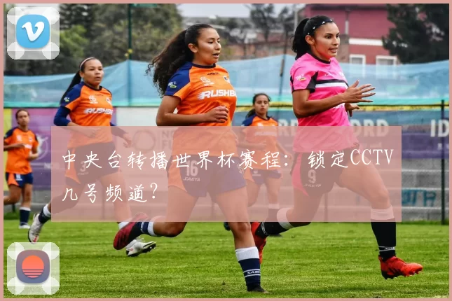 中央台转播世界杯赛程：锁定CCTV几号频道？
