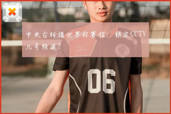 中央台转播世界杯赛程：锁定CCTV几号频道？