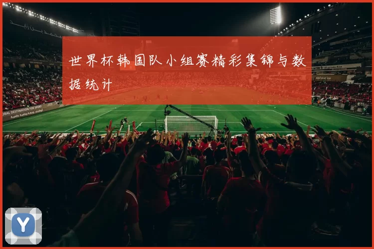 世界杯韩国队小组赛精彩集锦与数据统计